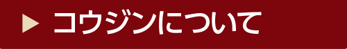 コウジンについて