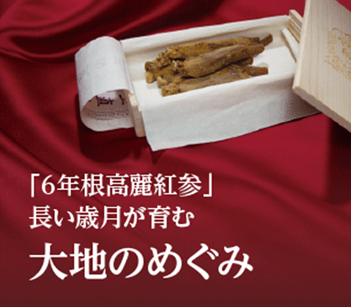 「６年根高麗人参」長い歳月が育む大地のめぐみ