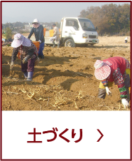 土づくり