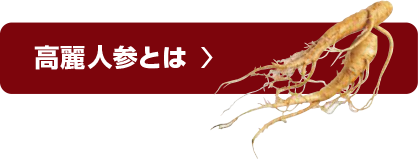 高麗人参とは