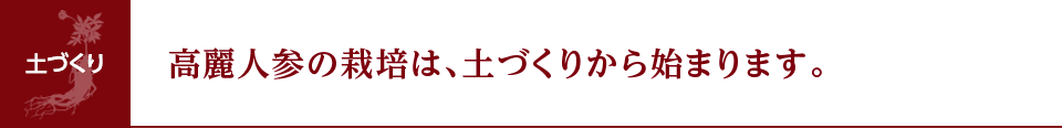 高麗人参の栽培は、土づくりから始まります。
