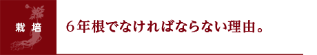 ６年根でなければならない理由。
