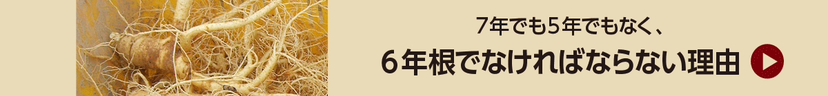 ７年でも５年でもなく、６年根でなければならない理由
